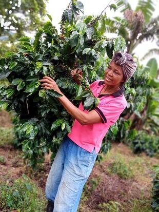 A photograph of Luz Deifa Carabali a Colombian coffee producer, smiling and holding onto her Arabica plants trees. Luz is wearing blue jeans, black wellington boots, a bright pink t-shirt and has her hair wrapped in a multi coloured scarf on her head.